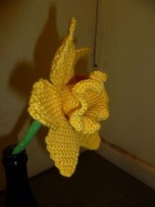 daffodil 4