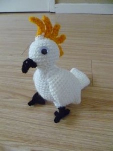 cockatoo 4