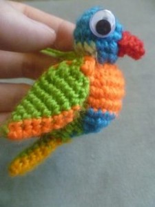 lorikeet 1