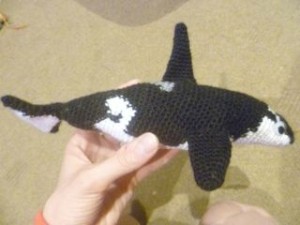 orca 1