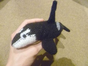 orca 4