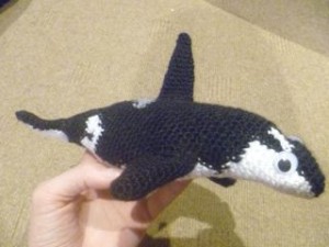 orca 5