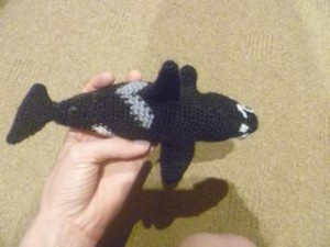 orca 6