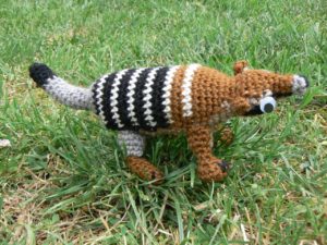 numbat-1