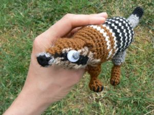 numbat-10