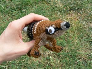 numbat-11