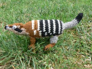 numbat-12