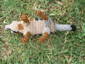 numbat-2