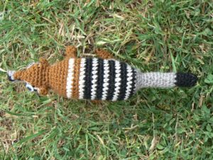 numbat-3