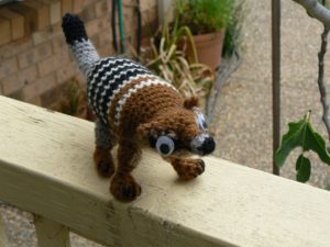 numbat-4