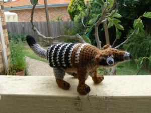 numbat-8