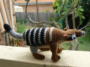 numbat-9