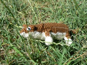 least-weasel-1