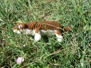 least-weasel-2